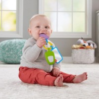 Set de zornăitori Fisher-Price (GRT57) imaginea #3 — magazin online Desire.md