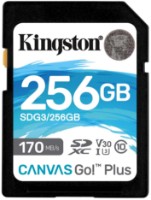 Карта памяти Kingston SD 256Gb Class10 UHS-I U3 (V30) (SDG3/256GB) фото №1 — интернет-магазин Desire.md
