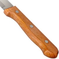 Cuțit Tramontina Dynamic 15cm (22318/006) imaginea #2 — magazin online Desire.md