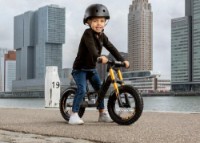 Беговел Berg Biky Cross 12" Gray фото №6 — интернет-магазин Desire.md