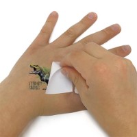 Tatuaj DinosArt Tatoo (15302) imaginea #3 — magazin online Desire.md