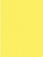 Бумага для печати Mondi A4 IQ Color Canary Yellow 250pcs 160g/m2 CY39