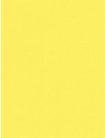 Hartie copiator Mondi A4 IQ Color Canary Yellow 250pcs 160g/m2 CY39 imaginea #2 — magazin online Desire.md