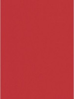 Hartie copiator Mondi A4 IQ Color Coral Red 250pcs 160g/m2 CO44 imaginea #2 — magazin online Desire.md