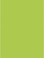 Hartie copiator Mondi A4 IQ Color Limegreen 250pcs 160g/m2 LG46 imaginea #2 — magazin online Desire.md