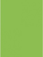 Бумага для печати Mondi A4 IQ Color Spring Green 250pcs 160g/m2 MA42