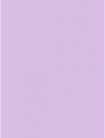 Hartie copiator Mondi A4 IQ Color Trend Lavender 250pcs 160g/m2 LA12