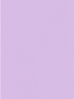 Бумага для печати Mondi A4 IQ Color Trend Lavender 250pcs 160g/m2 LA12 фото №2 — интернет-магазин Desire.md