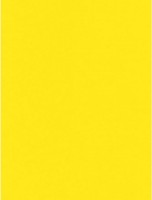Бумага для печати Mondi A4 IQ Color Yellow Mustard 250pcs 160g/m2 IG50 фото №2 — интернет-магазин Desire.md
