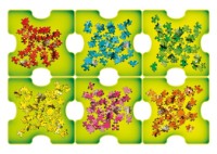 Puzzle Trefl 6 (90816) imaginea #3 — magazin online Desire.md