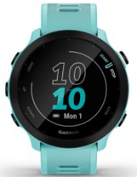 Смарт-часы Garmin Forerunner 55 (010-02562-12) фото №1 — интернет-магазин Desire.md