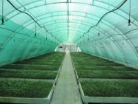 Сетка затеняющая AnlemaCom 40% 30gr H:2m/140 фото №3 — интернет-магазин Desire.md