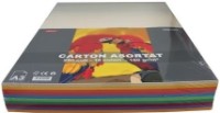 Carton Daco A3 250p 10 Colors (CN163)