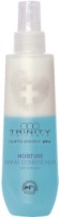Спрей для волос Trinity Moisture 30709 75ml фото №1 — интернет-магазин Desire.md