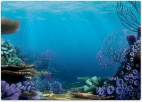 Театр Quercetti Teatru Finding Dory (2327) фото №3 — интернет-магазин Desire.md