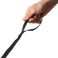 Rucsac pentru copii LittleLife Dinosaur L17190 imaginea #4 — magazin online Desire.md