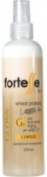 Спрей для волос Fortesse Closs Pro 250ml