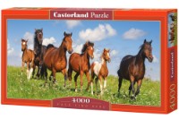 Puzzle Castorland 4000 Paso Fino Herd (C-400034)