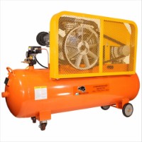 Compresor Bisonte SW102-170