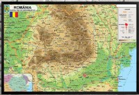 Art Maps Физическая карта Румынии (0200018)