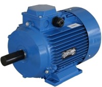 Motor electric Mogilevsk AIR 63A 4 (10109411)