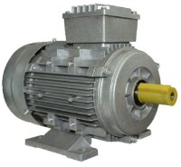 Motor electric Mogilevsk MS100L-2