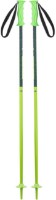 Лыжные палки Elan Hot Rod JR Green 100cm