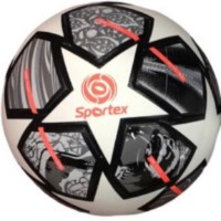 Мяч футбольный Sportex Hydro Tecnology Shine Champions League FB0020