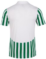 Детская футболка Joma 101873.204 White/Green 4XS-3XS фото №2 — интернет-магазин Desire.md