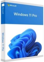 Операционная система Microsoft Windows 11 Pro Eng OEI (FQC-10528)