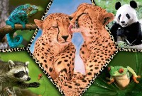 Puzzle Trefl 100 Beautiful Nature (16424)