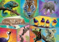 Puzzle Trefl 200 In an Exotic World (13280)