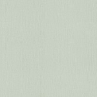 Обои Rasch 975536 Tendencia