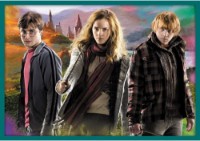 Пазл Trefl 10in1 In the world of Harry Potter (90392) фото №3 — интернет-магазин Desire.md