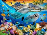 Puzzle Castorland 100 Dolphins in the Tropics (B-111169)