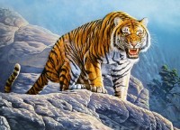 Puzzle Castorland 180 Tiger on the Rock (B-018451)