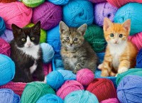 Puzzle Castorland 300 Kittens in Yarn Store (B-030477)