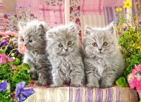 Пазл Castorland 300 Three Grey Kittens (B-030330)