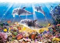 Puzzle Castorland 500 Dolphins Underwater (B-51014)