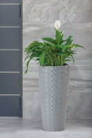Цветочный горшок Form Plastic Makata Slim (2830-059) фото №3 — интернет-магазин Desire.md