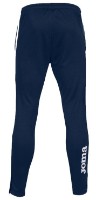 Мужские спортивные штаны Joma 102752.332 Navy/White XL фото №2 — интернет-магазин Desire.md
