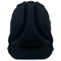 Школьный рюкзак GoPack GO22-162L-6