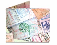 Кошелёк Dynomighty Passport (DD.DY-603)