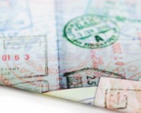 Кошелёк Dynomighty Passport (DD.DY-603)