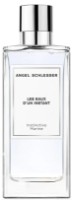 Parfum-unisex Angel Schlesser Instinctive Marine EDT 100ml