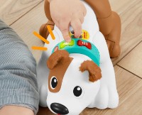 Jucarii interactive Fisher Price Crawl With Me Puppy (HHH95)