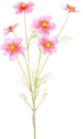 Floare decorativă Casa Masa Cosmea 78cm Pink (L21821/PK)