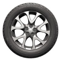 Шина Rosava Premiorri ViaMaggiore Z Plus 215/50 R17 95H