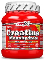 Креатин Amix Monohydrate 500g