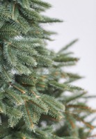 Brad artificial Divi Trees Collection Elite Premium Silicon 3.00m imaginea #2 — magazin online Desire.md